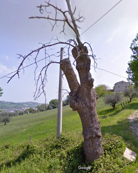 immagine ricavata dalle fotografie al suolo di Google maps dell'aprile 2011