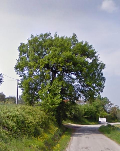 foto tratta dalle foto al suolo di Google Maps (aprile 2011)