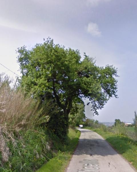 foto ricavata dalle immagini realizzate al suolo di Google maps (aprile 2011)