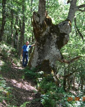 Foto Cerro di Portella Scarno-Contrada Sambuchello 1