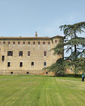 Foto Cedro del Castello