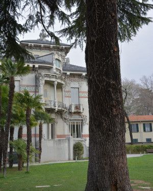 Foto Cedro di Villa Bernasconi