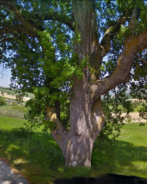 La Quercia in un'immagine tratta dalle foto a terra di Google Maps (Street view)