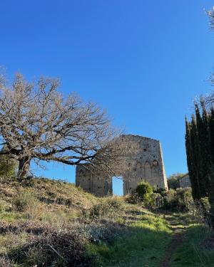 Foto Quercia della Pieve