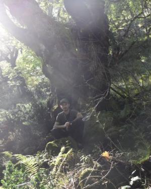 Foto Frassino siciliano di Monte Cedro 4