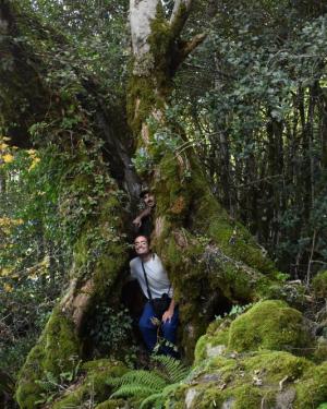 Foto Acero di Monte Cedro n.3