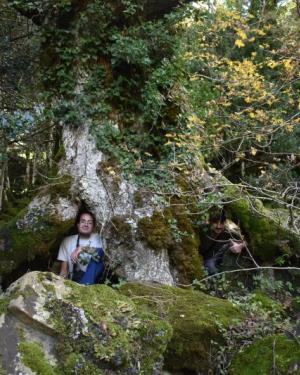 Foto Acero di Monte Cedro n.3