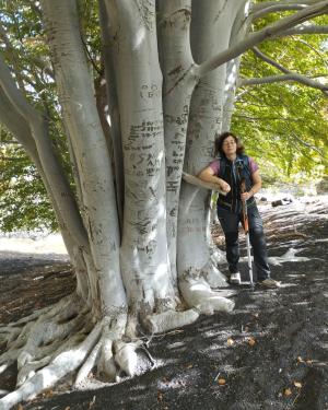 'A Trufedda di Piano Provenzana