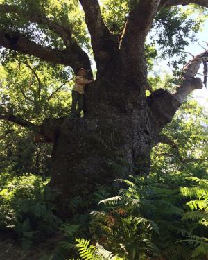 Foto Le Roverelle di Margi Vitale
