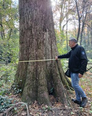 Foto Il Taxodium 2 parco del Neto