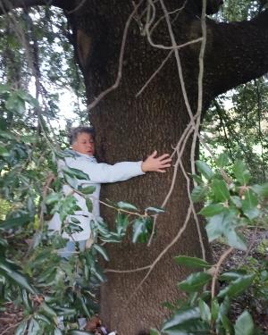 Foto Il leccio di Pagnana