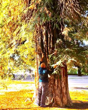 Foto La Sequia del Pincio