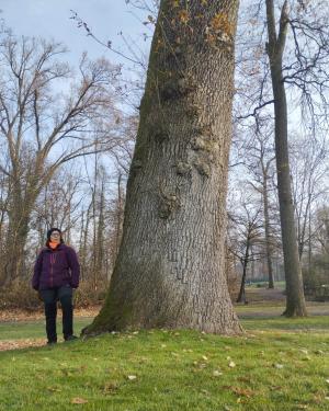 Farnia della Buca 13