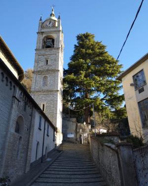 Deodara dell' Orrido