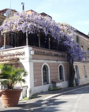 Glicine dell'antico arco