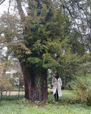 Il Tasso di Posidone