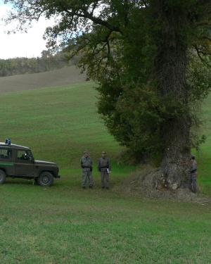 Ambrollo di Calchiaro