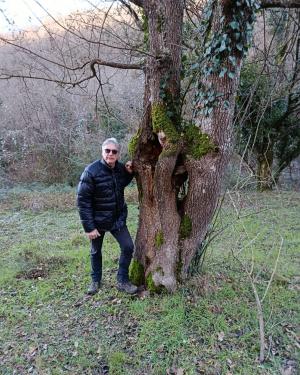 Acero campestre di S.Quirico a Uliveta
