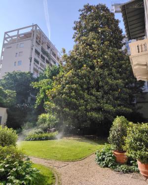 Foto Magnolia di Palazzo Cagnola