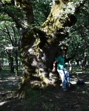 Foto Rovere di Piano Farina
