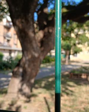 Foto Acero di Prato