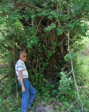 Foto Salicone di Contrada Nespola