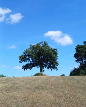 Foto Il Cerro di Javello
