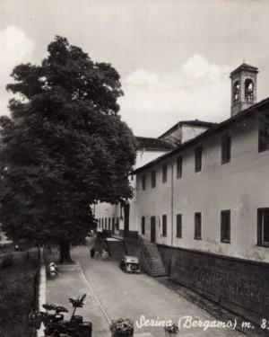 Foto Tiglio di Serina