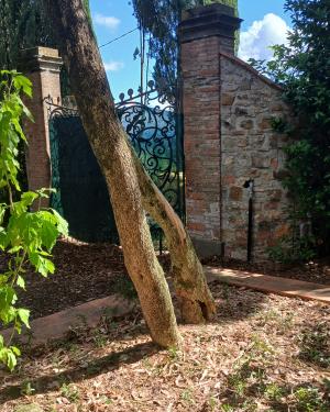Foto Il Bosso di Villa Pax Cristy