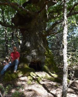 Foto Cerro di Trearie-San Paolo n. 6