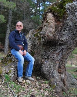 Foto Roverella di San Paolo Chianetta 2