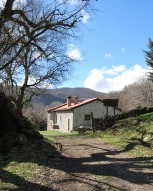 Foto Roverella di San Paolo Chianetta 2