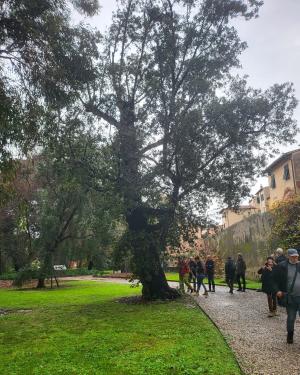 Leccio dell'Orto botanico