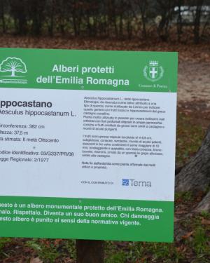 Foto Ippocastano n. 1 del Parco Ducale