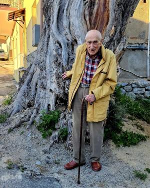 L'ulivo di San Filippo