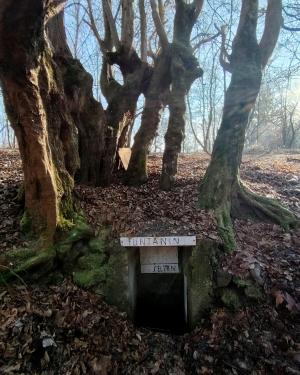 Carpini del Funtanin di San Carlo