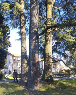 I 3 atlantica del parco Garibaldi