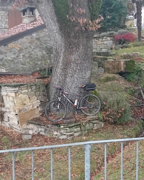 Quercia di Chiappelli