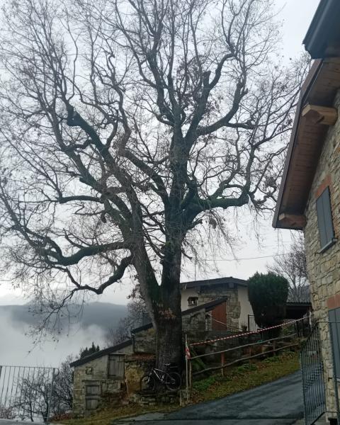 foto di Piergiorgio Barbieri