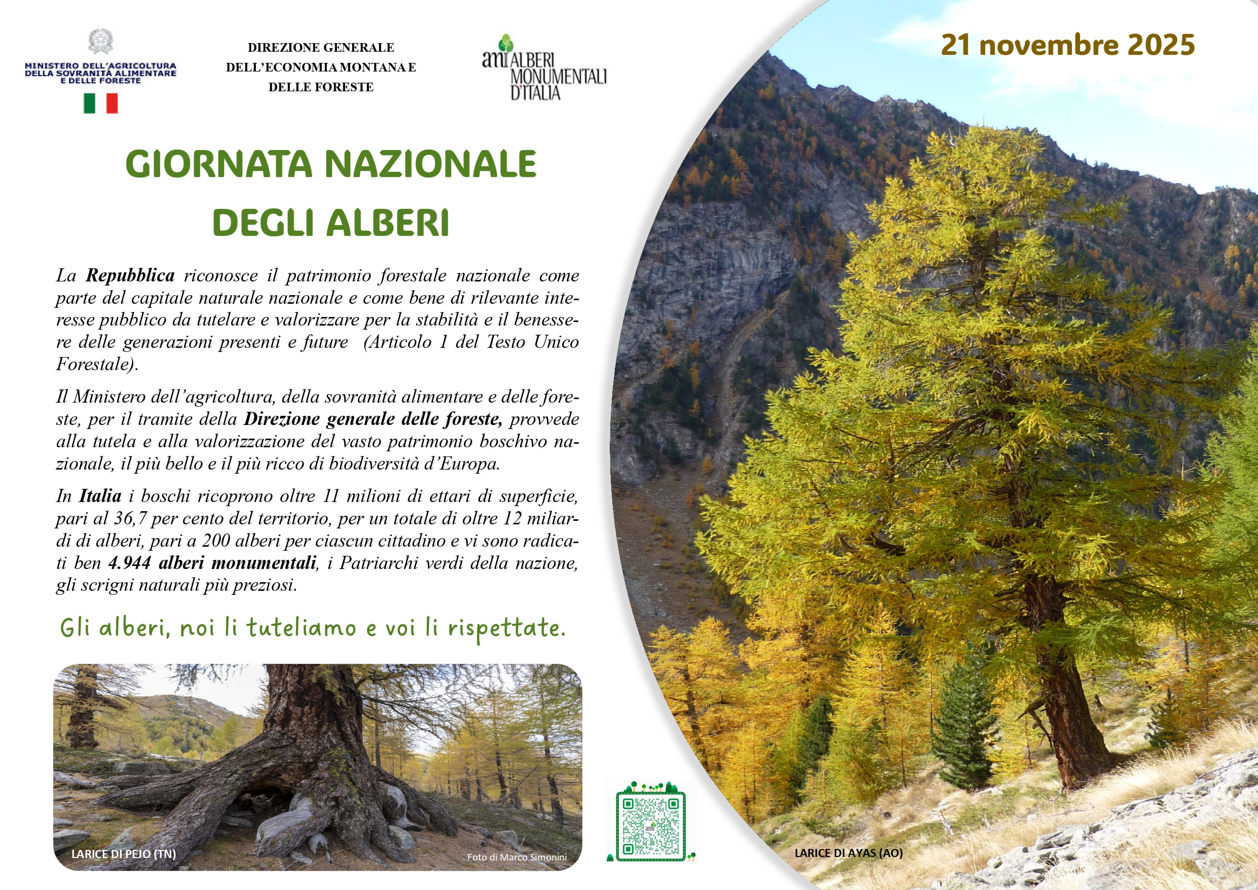 Giornata nazionale degli alberi 2025