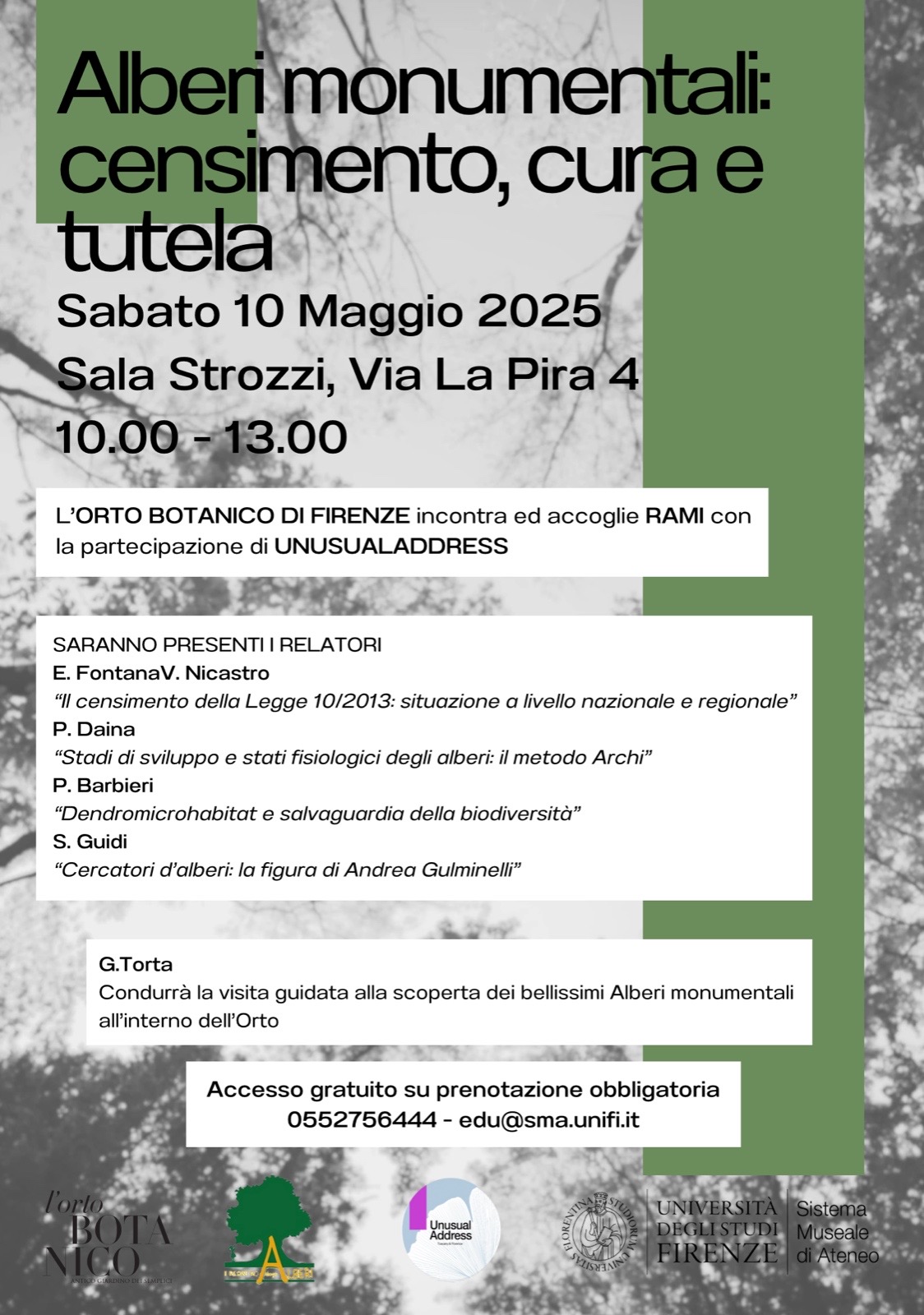 Alberi monumentali: censimento, cura e tutela