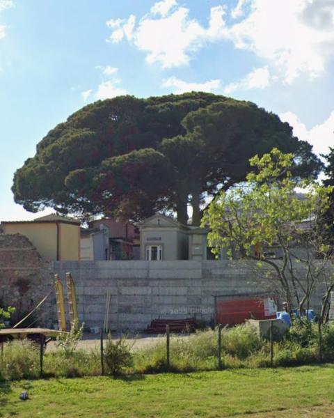 Pini del cimitero