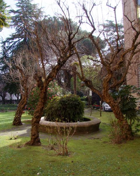 panoramica dei cinque esemplari