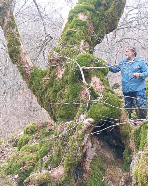 Foto di Sergio Giannini
