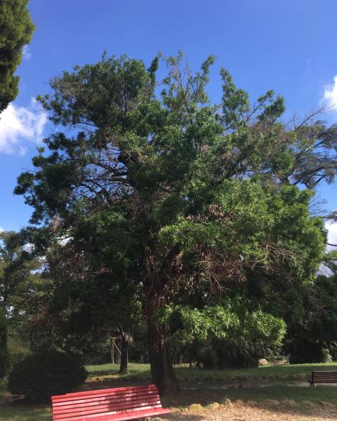 rilievo e fotografia  Pietro Salvatori