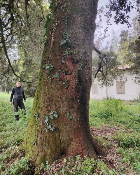 Anna Nicolodi/Amb2026