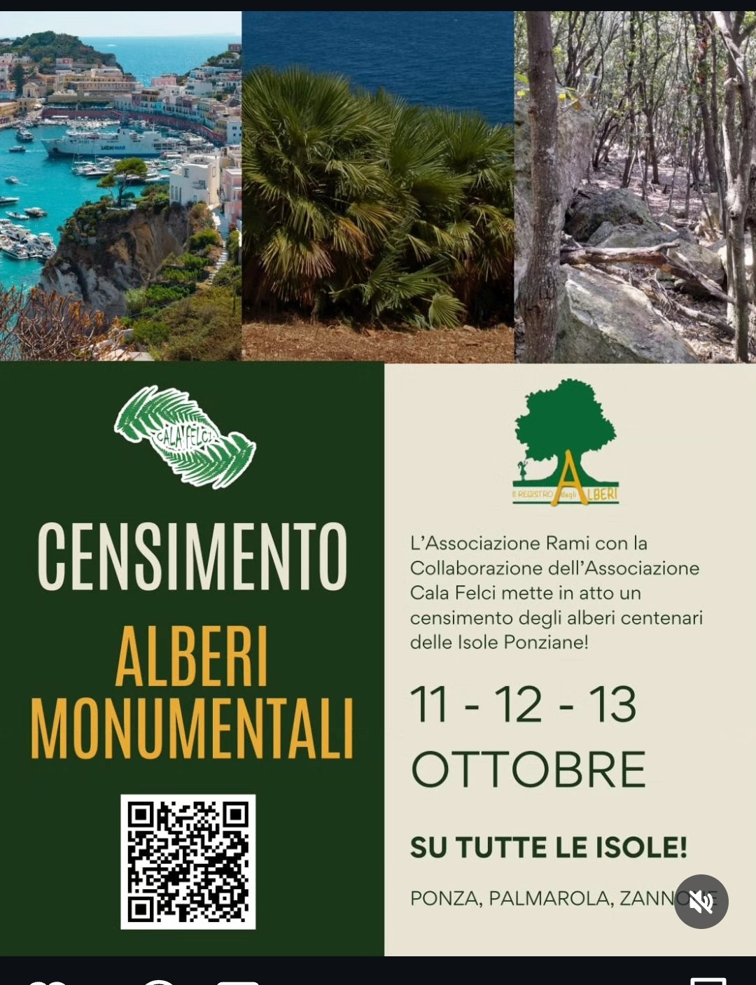 Censimento alberi Isole Pontine 