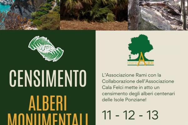 Censimento alberi Isole Pontine 