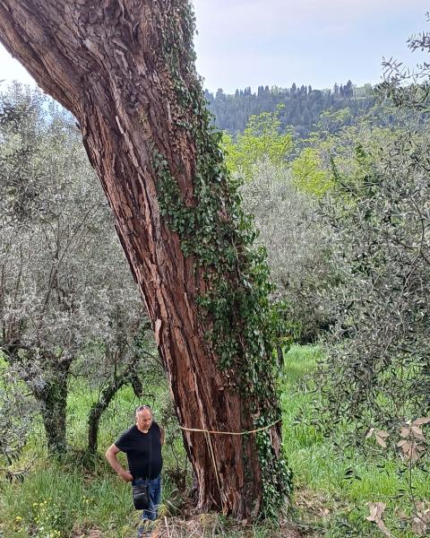 Foto di Valentina Nicastro