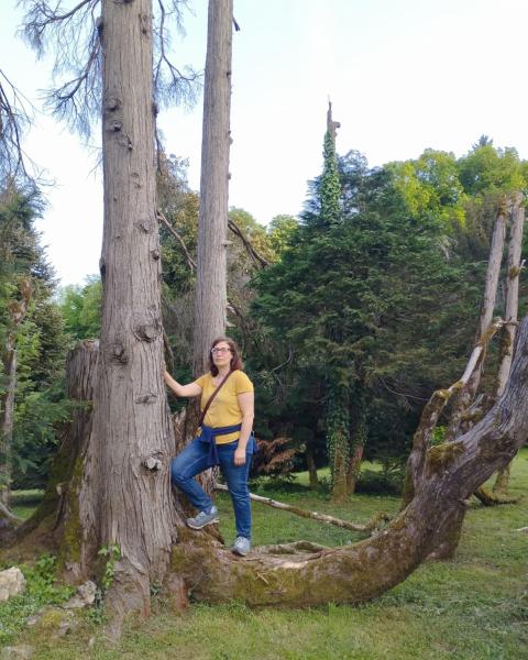 Cipresso di Lawson di Villa Sommi Picenardi